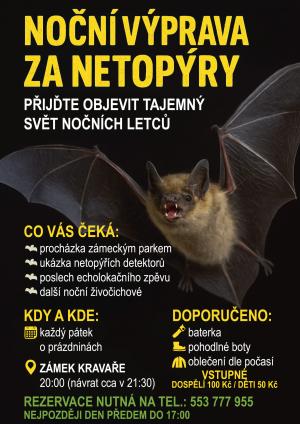 Noční výprava za netopýry