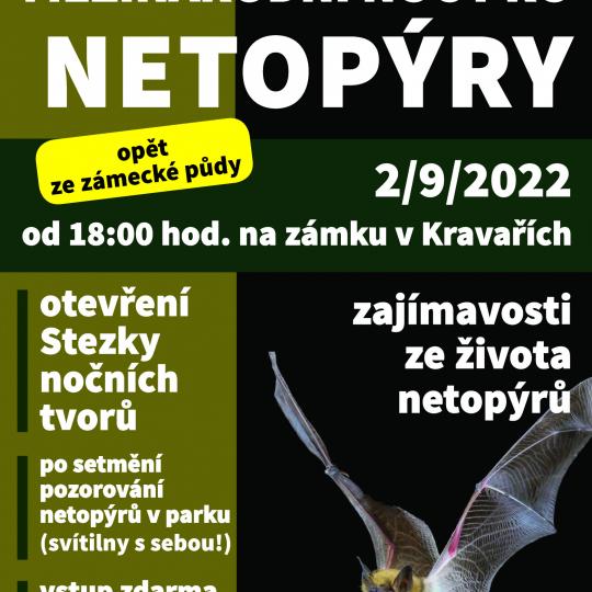 Mezinárodní noc pro netopýry